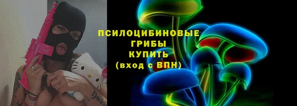 гидра Гусиноозёрск