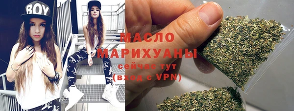 гидра Гусиноозёрск