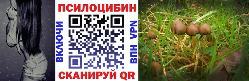 Купить закладки  Воскресенск  Псилоцибиновые грибы Psilocybine cubensis 